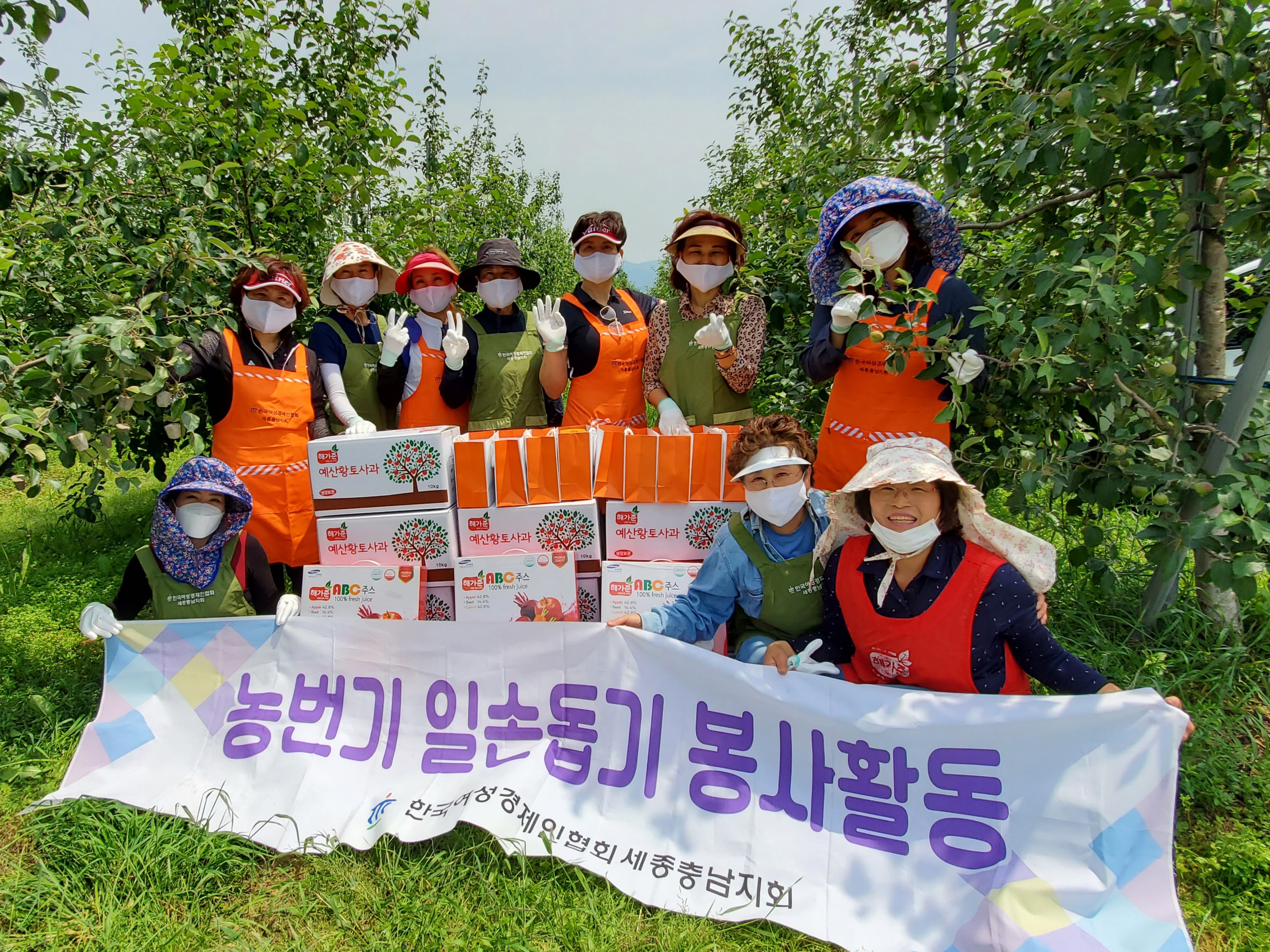 한국여성경제인협회 세종충남지회 나눔분과 ‘농번기 농촌일손돕기 봉사활동’